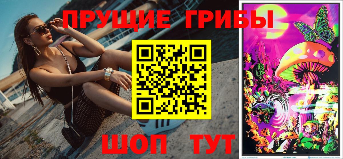 Галлюциногенные грибы Psilocybine cubensis Горячий Ключ